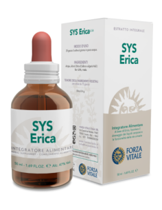 SYS ERICA