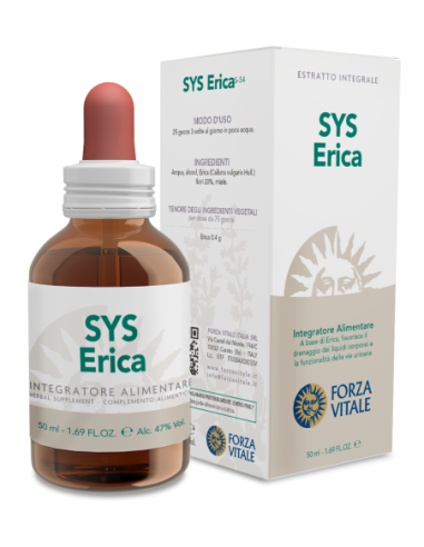 SYS ERICA