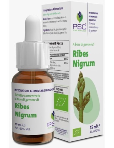 RIBES NIGRUM