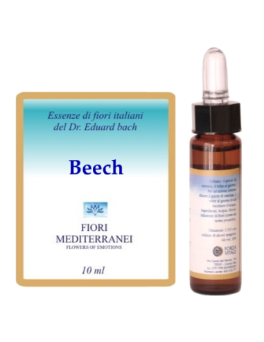Beech - 25% di SCONTO sul primo acquisto