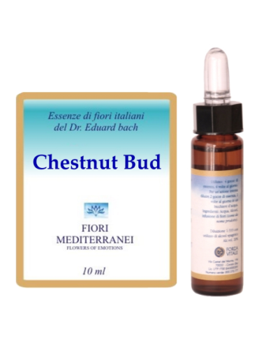 Chestnut bud - 25% di SCONTO sul primo acquisto