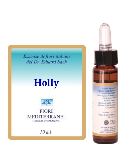 Holly - 25% di SCONTO sul primo acquisto