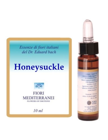 Honeysuckle - 25% di SCONTO sul primo acquisto