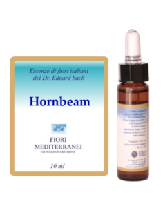 Hornbeam - 25% di SCONTO sul primo acquisto
