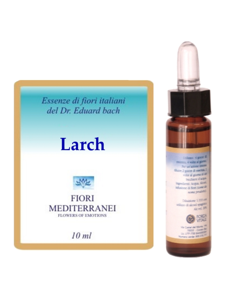 Larch - 25% di SCONTO sul primo acquisto
