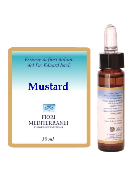 Mustard - 25% di SCONTO sul primo acquisto