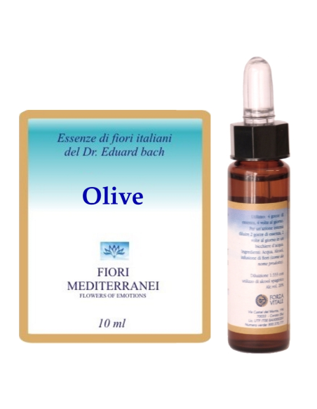 Olive - 25% di SCONTO sul primo acquisto