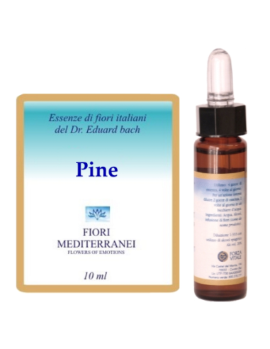 Pine - 25% di SCONTO sul primo acquisto