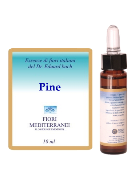 Pine - 25% di SCONTO sul primo acquisto