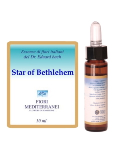 Star of bethlehm - 25% di SCONTO sul primo acquisto