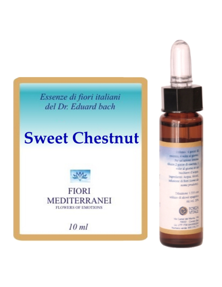 Sweet chestnut - 25% di SCONTO sul primo acquisto
