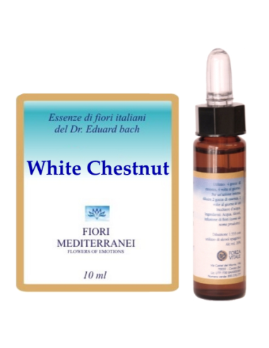 White chestnut - 25% di SCONTO sul primo acquisto
