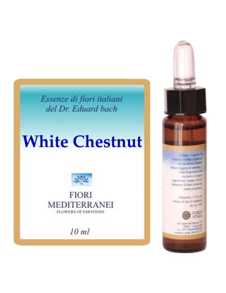 White chestnut - 25% di SCONTO sul primo acquisto