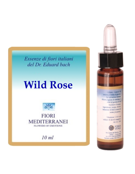 Wild rose - 25% di SCONTO sul primo acquisto