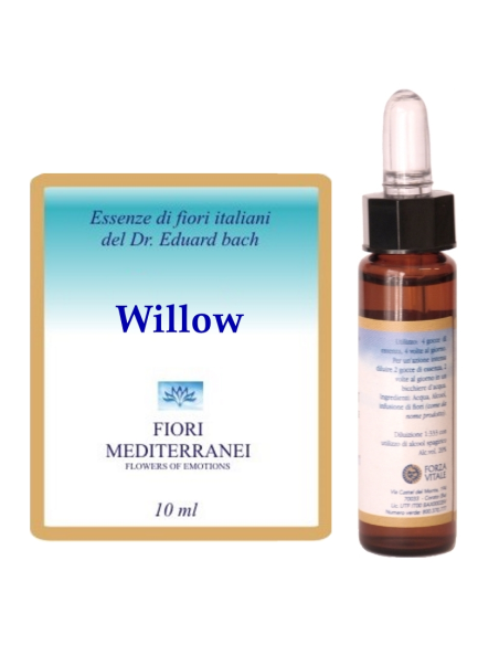 Willow - 25% di SCONTO sul primo acquisto