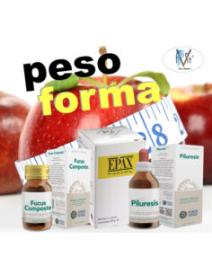 Protocollo Dimagramento