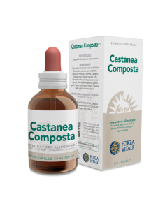 Protocollo Cellulite 2