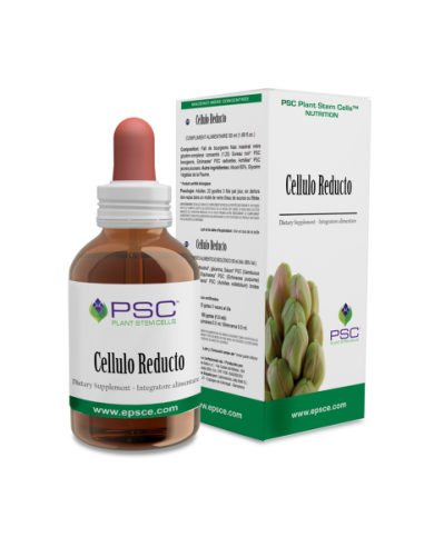 Protocollo Cellulite