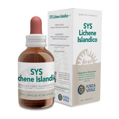 LICHENE ISLANDICO