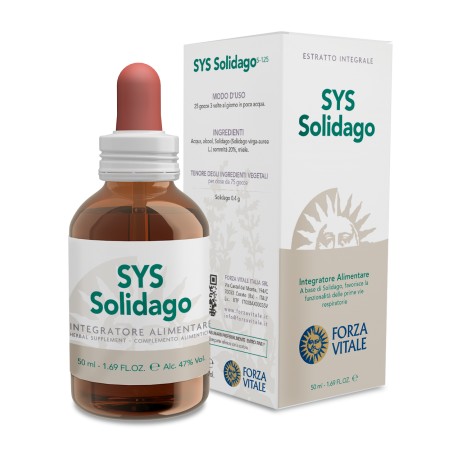 SOLIDAGO