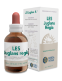 LES  JUGLANS  REGIA