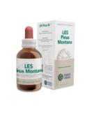 LES  PINUS  MONTANA
