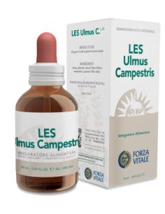 LES ulmus campestris - 25% di SCONTO sul primo acquisto