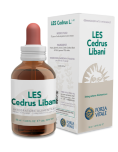 LES cedrus libani - 25% di SCONTO sul primo acquisto