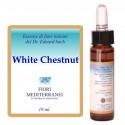 White Chestnut