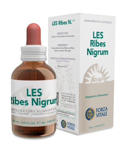 LES  RIBES  NIGRUM