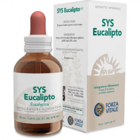 SYS EUCALIPTO